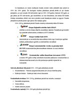 Referāts 'Eiropas Savienības fondi un to līdzekļu piesaiste Latvijas uzņēmumiem', 12.