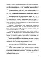 Referāts 'Sālsskābe', 3.