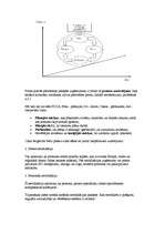 Konspekts 'Kvalitāte, sertifikācija, standartizācija, zīmols', 5.