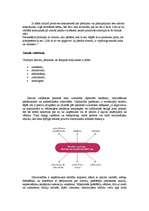 Konspekts 'Kvalitāte, sertifikācija, standartizācija, zīmols', 8.