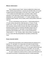 Referāts 'Konkrēta novadpētniecības un mākslas muzeja dzīves cikla noteicošie faktori', 3.