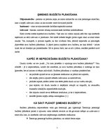 Referāts 'Ģimenes budžeta plānošana', 1.