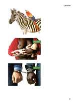 Referāts 'Zīmola "United Colors of Benetton" reklāmas analīze', 23.