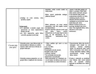 Prakses atskaite 'Rotaļnodarbība kvalifikācijas eksāmenam par atslēgām', 4.