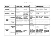 Konspekts 'Mācību metodes', 1.