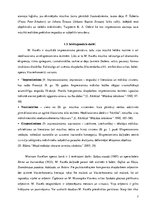 Referāts 'Morisa Ravēla balets "Dafnis un Hloja"', 7.