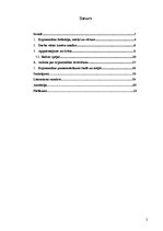 Referāts 'Ergonomikas ievērošana skolā un mājās', 2.