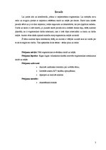 Referāts 'Ergonomikas ievērošana skolā un mājās', 3.