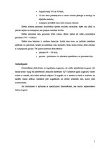 Referāts 'Ergonomikas ievērošana skolā un mājās', 7.