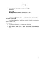 Referāts 'Ergonomikas ievērošana skolā un mājās', 20.