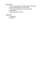 Diplomdarbs 'Lampas', 4.