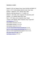 Diplomdarbs 'Lampas', 35.