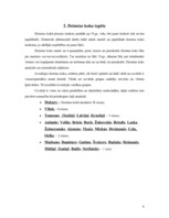 Referāts 'Mans ciltskoks', 6.