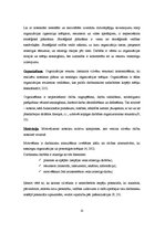 Diplomdarbs 'Bērnu nama "Laubere" turpmākās attīstības perspektīvas', 15.