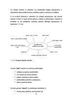 Diplomdarbs 'Bērnu nama "Laubere" turpmākās attīstības perspektīvas', 30.