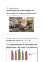 Diplomdarbs 'Bērnu nama "Laubere" turpmākās attīstības perspektīvas', 35.