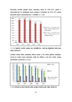 Diplomdarbs 'Bērnu nama "Laubere" turpmākās attīstības perspektīvas', 38.