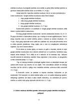 Diplomdarbs 'Iespējas bērniem ar smagiem garīgās attīstības traucējumiem iekļauties sabiedrīb', 13.