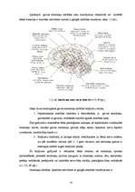 Diplomdarbs 'Iespējas bērniem ar smagiem garīgās attīstības traucējumiem iekļauties sabiedrīb', 14.