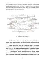 Diplomdarbs 'Iespējas bērniem ar smagiem garīgās attīstības traucējumiem iekļauties sabiedrīb', 24.