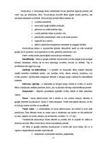 Diplomdarbs 'Iespējas bērniem ar smagiem garīgās attīstības traucējumiem iekļauties sabiedrīb', 31.