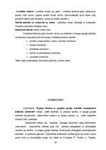 Diplomdarbs 'Iespējas bērniem ar smagiem garīgās attīstības traucējumiem iekļauties sabiedrīb', 49.