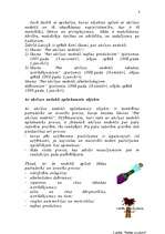 Referāts 'Akcīzes nodoklis', 4.