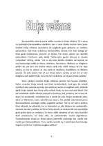 Referāts 'Senlatviešu Ziemassvētki', 9.