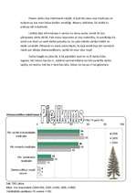 Referāts 'Senlatviešu Ziemassvētki', 15.
