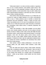 Referāts 'Problēmsituācijas analīze', 5.