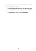 Referāts 'Problēmsituācijas analīze', 13.