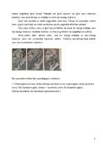 Referāts 'Pirmatnējie vācēji un mednieki', 8.