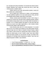 Eseja 'Šodienas reklāmā pamatā darbojas tikai trīs psiholoģiskie faktori - bauda, ambīc', 2.