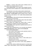 Konspekts 'Stratēģija finanšu plāna izveidošanā uzņēmumā', 1.