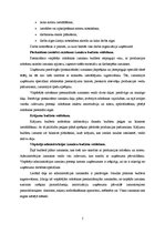 Konspekts 'Stratēģija finanšu plāna izveidošanā uzņēmumā', 5.