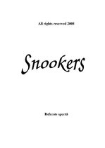 Referāts 'Snookers', 1.