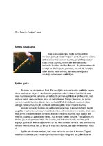 Referāts 'Snookers', 5.