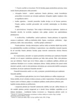 Diplomdarbs 'Finanšu koeficientu analīzes nozīme uzņēmumu finansiālā stāvokļa noteikšanā un p', 21.