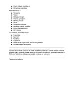 Prezentācija '"Pie klasesbiedra" - sociāli atbildīga pakalpojuma prototips', 19.