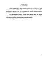 Referāts 'Mārketinga plāns SIA Avon Cosmetics', 2.