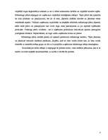 Referāts 'Mārketinga plāns SIA Avon Cosmetics', 6.