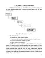 Referāts 'Mārketinga plāns SIA Avon Cosmetics', 20.