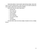 Referāts 'Mārketinga plāns SIA Avon Cosmetics', 48.