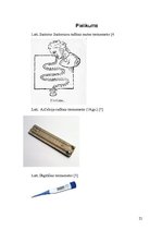 Referāts 'Medicīnas termometri un temperatūra', 21.