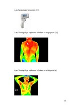 Referāts 'Medicīnas termometri un temperatūra', 22.