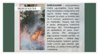 Prezentācija 'Meža ugunsgrēki', 4.