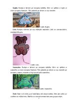 Konspekts 'Idejas tehnoloģiju mācību jomai', 2.