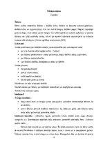 Konspekts 'Idejas tehnoloģiju mācību jomai', 4.