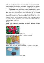 Konspekts 'Idejas tehnoloģiju mācību jomai', 5.