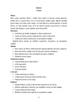 Konspekts 'Idejas tehnoloģiju mācību jomai', 6.